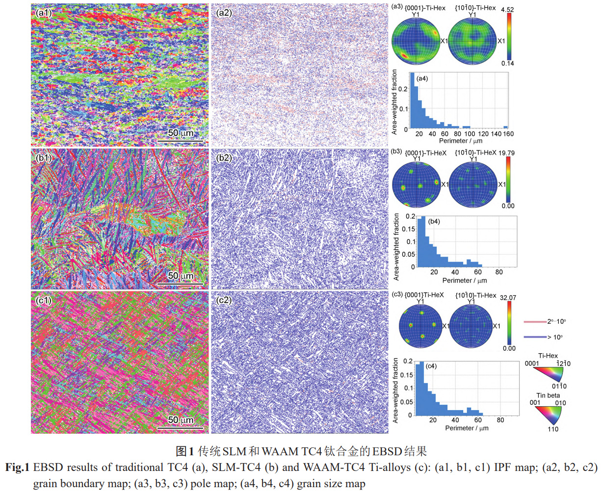 增材制造TC4鈦合金的鈍化性能優勢及微觀調控機制——對比SLM,WAAM與鍛造退火工藝，解析擇優取向/晶粒尺寸對鈍化膜缺陷濃度,致密性的影響，為航空航天/生物醫療用鈦合金耐蝕設計提供依據