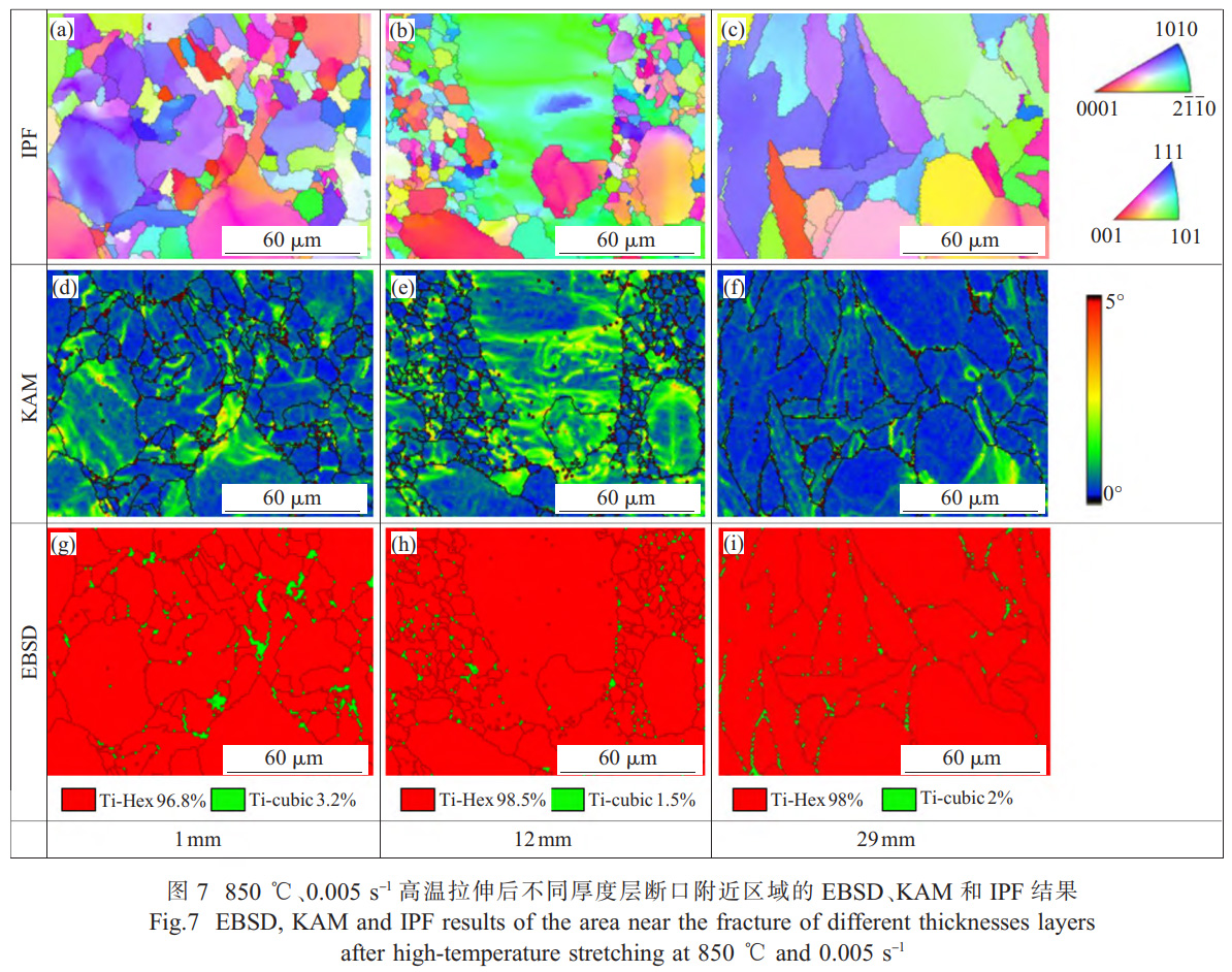 面向船舶大型殼體件的TC4鈦合金厚板精密熱壓成形技術研究——解析厚向組織不均勻性對成形性能的影響，通過應力松弛-回彈耦合模擬優化保壓參數，實現±2mm形狀公差的高精度成形