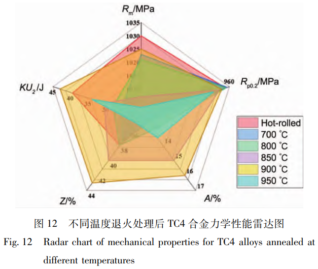 軋制-退火協(xié)同調(diào)控下艦船用大規(guī)格TC4鈦合金板材的組織演變機制與力學(xué)性能各向異性優(yōu)化研究——聚焦初生α相/次生α相調(diào)控及900℃退火工藝的弱織構(gòu)增強效應(yīng)